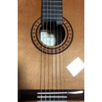 Magna CG-168 C lattice all solid