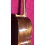 Magna CG-48 S 4/4 klasická gitara , solid top