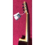 Magna CG-88 S 4/4 klasická gitara , solid top