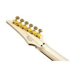 BANEZ Steve Vai "PIA" Signature Edition, Onyx Black + Case M20RG