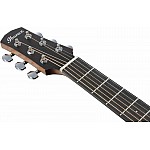 Ibanez - AAD50-TCB Akustická gitara Transparent Charcoal Burst