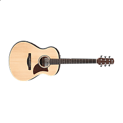 Ibanez AAM50-OPN
