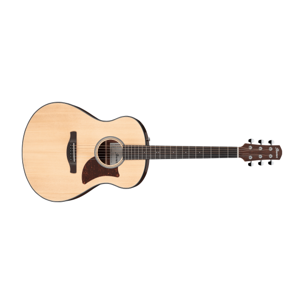 Ibanez AAM50-OPN