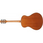 Ibanez AAM50-OPN