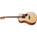 Ibanez AAM50-OPN