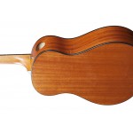 Ibanez AAM50-OPN