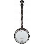 IBANEZ B200 - Banjo 5-Strunové