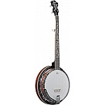 IBANEZ B200 - Banjo 5-Strunové