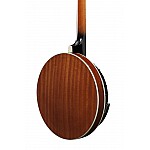 IBANEZ B200 - Banjo 5-Strunové