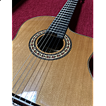 Magna CG-88 C CE 4/4 klasická gitara s elektronikou, solid top Magna CG-88 C CE 4/4 klasická gitara s elektronikou, solid top