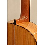 Camps M-5-S Flamenco Gitara