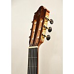 Camps M-5-S Flamenco Gitara