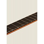 Camps NAC-4-C Elektroakustická Klasická Gitara