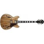 Ibanez Artcore Expressionist AM93ZW-NT
