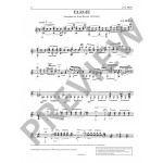 Mertz, Johann Kaspar - Concert Works arranged for guitar