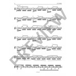 Mertz, Johann Kaspar - Concert Works arranged for guitar