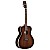 Alvarez AGW77AR - Elektroakustická gitara