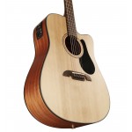 Alvarez AD30CE-48