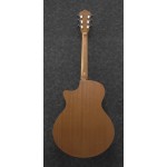 Ibanez AE1-LG limited run