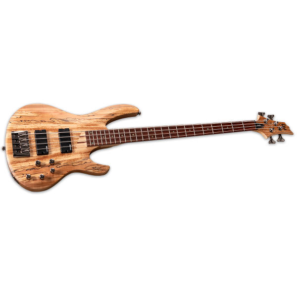 ESP LTD B-204SM