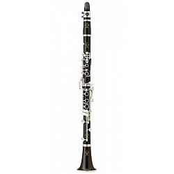 Buffet Crampon R13 Professional BC 1131L-2-0 - Bb klarinet