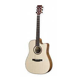 Lakewood D-18 CP (2024) w/Case - elektroakustická gitara
