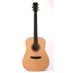 Lakewood D-18 P - Akustická gitara