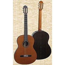 Martinez Contrabass guitar 70 cm - Akustická klasická basgitara, solid top