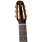 Gitane D-500