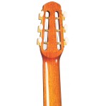Gitane D-500