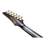 Ibanez RG Custom Series JCRG2101+ Case
