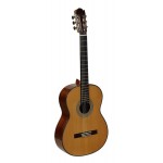 Martinez ES-10 C - Klasická gitara