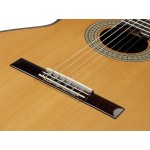 Martinez ES-10 C - Klasická gitara