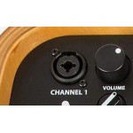 Fender Acoustic SFX