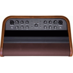 Fender Acoustic SFX