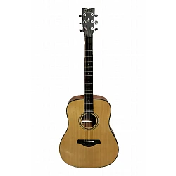 Guson FG-820 akustická gitara