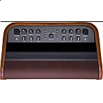Fender Acoustic SFX