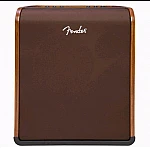 Fender Acoustic SFX
