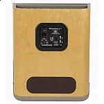 Fender Acoustic SFX