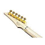 BANEZ Steve Vai "PIA" Signature Edition, Onyx Black + Case M20RG BANEZ Steve Vai "PIA" Signature Edition, Onyx Black + Case M20RG