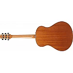 Ibanez AAM50-OPN Ibanez AAM50-OPN