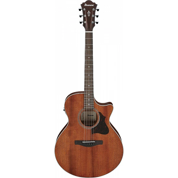 Ibanez AE140-OPN Elektroakustická gitara - Open Pore
