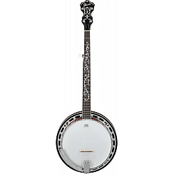 IBANEZ B200 - Banjo 5-Strunové