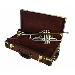 Dimavery TP-30 Bb - trúbka