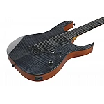 Ibanez GRGR221FA-TDK Elektrická gitara Ibanez GRGR221FA-TDK Elektrická gitara