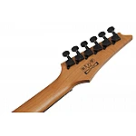 Ibanez GRGR221FA-TDK Elektrická gitara Ibanez GRGR221FA-TDK Elektrická gitara