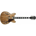 Ibanez Artcore Expressionist AS93ZW-NT