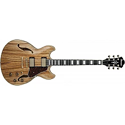 Ibanez Artcore Expressionist AS93ZW-NT