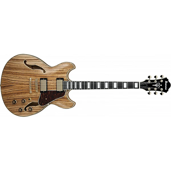 Ibanez Artcore Expressionist AS93ZW-NT