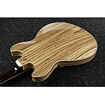 Ibanez Artcore Expressionist AS93ZW-NT